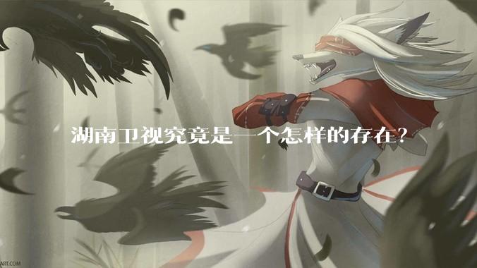 湖南卫视究竟是一个怎样的存在？